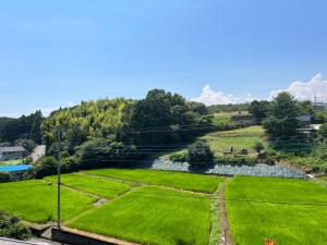 a field of green grass next to a river at 民宿ふじ苑 