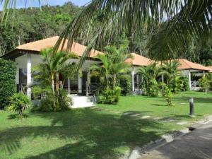 Saracen Bay Resort في كوه رونغ ساملوم: منزل أمامه نخلة