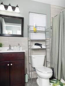 a bathroom with a toilet and a sink and a mirror at Stylish & family friendly 3 Bedroom - 8 mins to EWR in Elizabeth