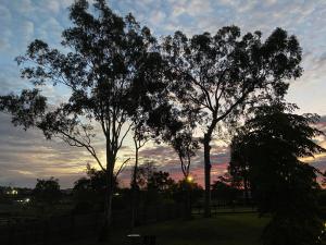 dos árboles en un parque con la puesta de sol en el fondo en Scenic Sunsets@Tamborine en Tamborine