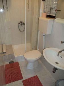 A bathroom at Studio in Valbandon Istrien 8360