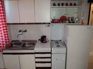A kitchen or kitchenette at Studio in Valbandon Istrien 8360