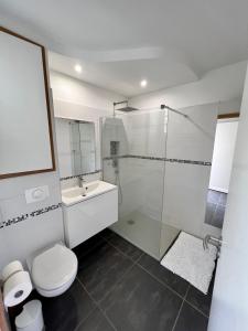 ein Bad mit einer Dusche, einem WC und einem Waschbecken in der Unterkunft Appartement Idéal in Petit-Bourg