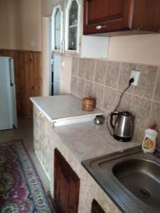 uma cozinha com um lavatório e uma bancada em Тушер em Rakhiv