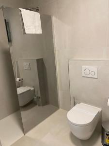 a bathroom with a white toilet and a sink at Private Room Belmar Mandre in Mandre