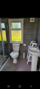 a bathroom with a toilet and a sink at Brondini View Cabin (Private Garden and Hot Tub) in Brondini