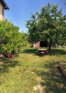 a picnic table under a tree in a yard at La colonie - Haut Valromey 