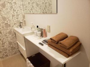 熊本HOTEL CARNA A - Vacation STAY 53725v的带白色水槽和镜子的浴室 更多17张照片