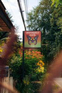 Zahrada ubytování Butterfly Hostel, Pai