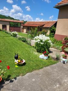 a yard with some plants and flowers on the grass at Casa Izvorul Rece in Hobiţa