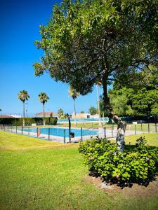 Bazén v ubytovaní Villa Horacia - Playa de la Jara con Piscina alebo v jeho blízkosti