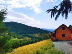 drewniany domek na wzgórzu z górami w tle w obiekcie Sowi Stok w mieście Sokolec