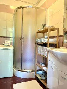 a shower in a bathroom with a sink at Beethoven Apartman in Budapest