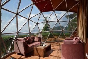 Fotografie z fotogalerie ubytování Tarika Resort & Spa , Chail v destinaci Chail