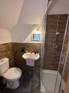 een badkamer met een toilet, een wastafel en een douche bij Penzion Arendel in Líšnice
