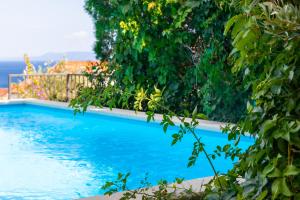 błękitny basen otoczony drzewami i oceanem w obiekcie Villa Marijana w Bol