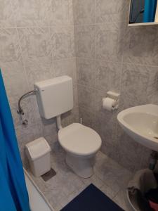 a bathroom with a toilet and a sink at Apartments Delfin in Posedarje +28 photos