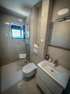 a bathroom with a toilet and a sink and a shower at Apartman Lana&Bruno in Mandre