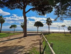 a tree in a field next to the beach at Fortuny Golden in Cambrils