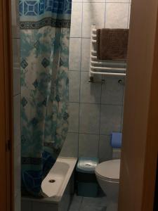 Садиба Диво Квітка في تاتاريف: حمام صغير مع مرحاض ومغسلة