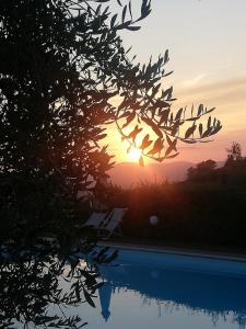 un coucher de soleil est vu à travers un arbre avec une piscine dans l'établissement Glamping Tuscany - Podere Cortesi, à Santa Luce