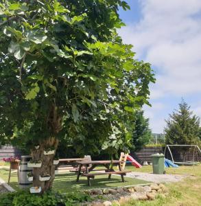 Imagen de la galería de Pensión Tabaza, en Carreno