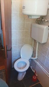 a small bathroom with a toilet and a sink at Mountain house in Mala Reka +31 photos