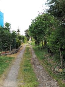 uma estrada de terra com árvores em ambos os lados em Pensión Tabaza em Carreno