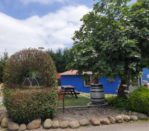un jardin avec un bâtiment bleu et un arbre dans l'établissement Pensión Tabaza, à Carreno