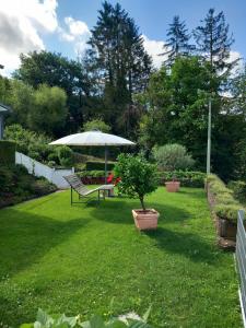 um jardim com um banco e um guarda-sol em Haus Maximilian em Rammelsbach