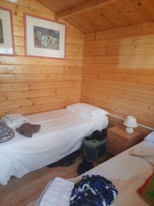 Postel nebo postele na pokoji v ubytování New Eco bungalow