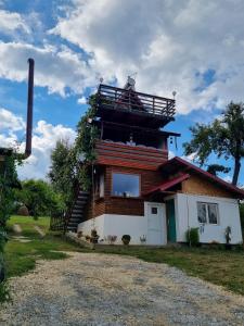 a house with a tower on top of it at Cabana Tinca in Corbeni