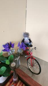 九份にあるStay if you wish Homestayの紫色の花が咲く部屋に赤い自転車を停めている