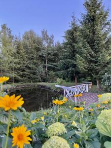 un banc installé à côté d'un étang et de fleurs dans l'établissement Gościniec Joanna, à Rajgród