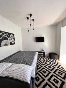 een slaapkamer met een bed en een flatscreen-tv bij Stilingi šaulio skulptūros apartamentai in Druskininkai