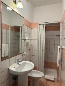 La salle de bains est pourvue d'un lavabo, d'un miroir et d'une douche. dans l'établissement Hotel Il Papavero, à Rome