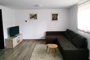Apartman Srna - Gorski kotar في Sunger: غرفة معيشة بها أريكة وتلفزيون