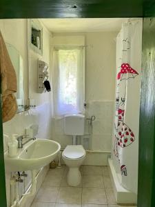 a bathroom with a white toilet and a sink at Căsuța din Vale in Râșca