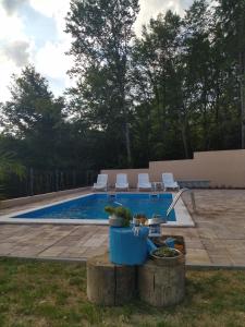 una piscina con dos macetas al lado en Villa Hani, en Sarajevo