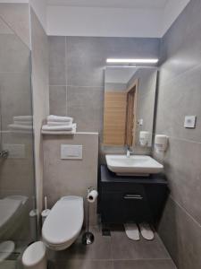 a bathroom with a toilet and a sink and a mirror at Vinarija Aleksandrović Rooms in Topola