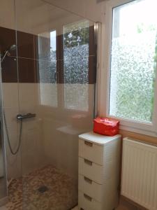 baño con ducha, lavabo y ventana en Chambre campagne uxelloise, en Uxeau