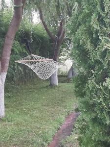 uma rede pendurada numa árvore num campo em Pensiunea Maya em Sâmbăta de Sus