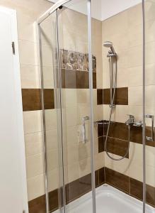 eine Dusche mit Glastür im Bad in der Unterkunft Katarina in Primošten