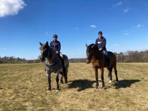 zwei Menschen reiten auf Pferden auf einem Feld in der Unterkunft Penzion Arendel in Líšnice