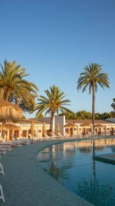 un complejo con palmeras y sillas y una piscina en Hotel Montepiedra 4''''sup, en Playas de Orihuela
