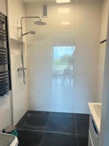 W łazience znajduje się prysznic ze szklanymi drzwiami. w obiekcie Apartamenty Pod Żaglami w Dziwnówku