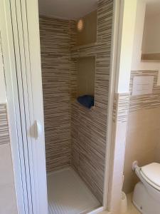 a walk in shower in a bathroom with a toilet at Villa Pineta in San Menaio