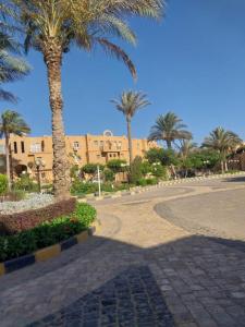 a street with palm trees and a building at شالية علي البحر بالعين السخنة بقرية امباير ريزورت in Ain Sokhna