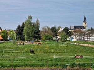 un grupo de caballos pastando en un campo en Apartmán NH Stables, en Nýřany