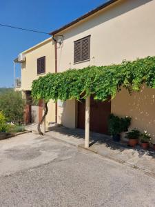 a building with a green ivy hedge on it at Rooms Androvic in Ston